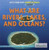 What Are Rivers, Lakes, and Oceans? - 9781622752812 by Louise Spilsbury