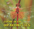Zoom in on Dragonflies by Melissa Stewart, 9780766042124
