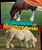 Clydesdales and Miniature Horses - 9781477761021 by Henry Thatcher, 9781477761021
