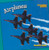 Airplanes - 9781627123143 by Madeline Miller, 9781627123143