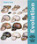 Evolution - 9781627124102 by Elizabeth Rice, Daniel Ardia, 9781627124102