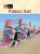 Public Art by Meryl Loonin, 9781420509175
