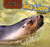 Sea Lions - 9781477764732 by Katie Franks, 9781477764732