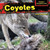 Coyotes - 9781477766071 by Emma Carlson Berne, 9781477766071