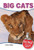 Big Cats - 9781477791820 by Carly Blake, 9781477791820
