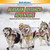 Alaskan Iditarod Adventure (Represent and Solve Problems Involving Multiplication) - 9781477764114 by Wendy Strout, 9781477764114
