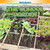The School Garden (Reason with Shapes and Their Attributes) - 9781477764701 by Sebastian Avery, 9781477764701