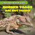 Horned Toads Are Not Toads! - 9781482409574 by Wes Flynn, 9781482409574