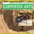 Carpenter Ants - 9781482410259 by Katherine Ponka, 9781482410259