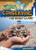 Conserving the Great Lakes by Walter LaPlante, 9781482412079
