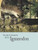 Meet Iguanodon by Mark Cunningham, 9781627127882