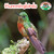 Hummingbirds - 9781627128292 by Steven Otfinoski