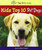 Kids Top 10 Pet Dogs - 9780766066366 by Ann Graham Gaines