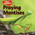 Praying Mantises - 9781477757710 by Sam Hesper, 9781477757710