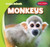 Monkeys - 9781482417524 by Rob Ryndak