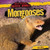 Mongooses - 9781482419634 by John O'Mara
