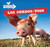 Los cerdos / Pigs (Bilingual Edition) by Maddie Gibbs, 9781499402636