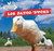Los patos / Ducks (Bilingual Edition) by Maddie Gibbs, 9781499402698