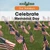 Celebrate Memorial Day - 9781502602459 by Amy Hayes, 9781502602459