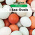 I See Ovals - 9781502602657 by Elizabeth K. Lawrence, 9781502602657