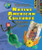 Exploring Native American Cultures Through Crafts by Mia Farrell, 9780766067851