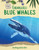 Endangered Blue Whales - 9780766068902 by Chris Reiter, Jane Katirgis