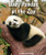 Baby Pandas at the Zoo by Eustacia Moldovo, 9780766070776