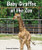 Baby Giraffes at the Zoo by Eustacia Moldovo, 9780766070813