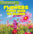 Flowers: From Seed to Bloom by George Pendergast, 9781482416589