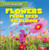 Flowers: From Seed to Bloom - 9781482416596 by George Pendergast