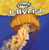 Jellyfish - 9781482417029 by Greg Roza, 9781482417029
