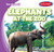 Elephants at the Zoo by Finn Ward, 9781482425895
