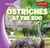 Ostriches at the Zoo - 9781482426038 by Finn Ward, 9781482426038