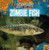 Zombie Fish by Jolene Alessi, 9781482428407