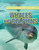 Whales and Dolphins - 9781482432114 by Steve Parker