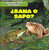 ¿Rana o sapo? (Frog or Toad?) (Spanish Edition) (Spanish Edition) - 9781482432565 by Rob Ryndak, 9781482432565