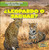 ¿Leopardo o jaguar? (Leopard or Jaguar?) by Rob Ryndak, 9781482432619