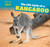 The Life Cycle of a Kangaroo - 9781499406757 by Amy Austen, 9781499406757
