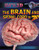 The Brain and Spinal Cord in 3D - 9781499435818 by Jack Becker, Chris Hayhurst, 9781499435818