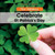 Celebrate St. Patrick's Day - 9781502604194 by Mary-Lou Smith, 9781502604194