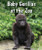 Baby Gorillas at the Zoo by Cecelia H. Brannon, 9780766071414