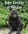 Baby Gorillas at the Zoo - 9780766071438 by Cecelia H. Brannon, 9780766071438