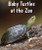 Baby Turtles at the Zoo by Cecelia H. Brannon, 9780766071582