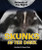 Skunks After Dark - 9780766073609 by Heather Moore Niver, 9780766073609
