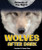 Wolves After Dark - 9780766074187 by Heather Moore Niver, 9780766074187