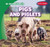 Pigs and Piglets - 9781482437850 by Emilia Hendrix, 9781482437850