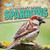 A Bird Watcher's Guide to Sparrows - 9781482439137 by Grace Vail, 9781482439137