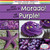 ¡Nos encanta el morado! / We Love Purple! (Bilingual Edition) by Eida de la Vega, Richard Little, 9781482443523