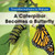 A Caterpillar Becomes a Butterfly - 9781502608246 by Amy Hayes, 9781502608246