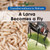 A Larva Becomes a Fly - 9781502608321 by Amy Hayes, 9781502608321